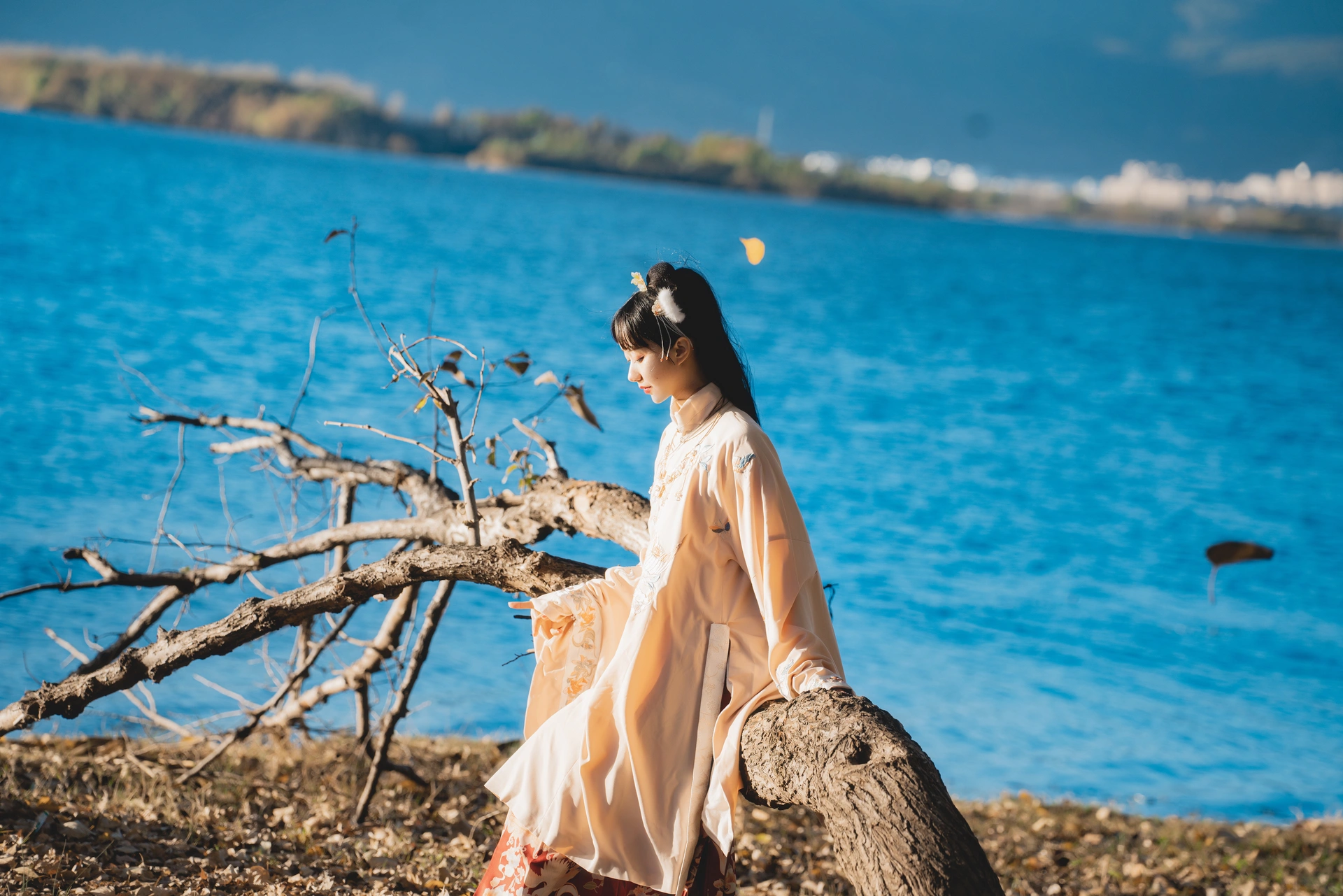 木绵绵OwO - NO.82 山川如酒 2