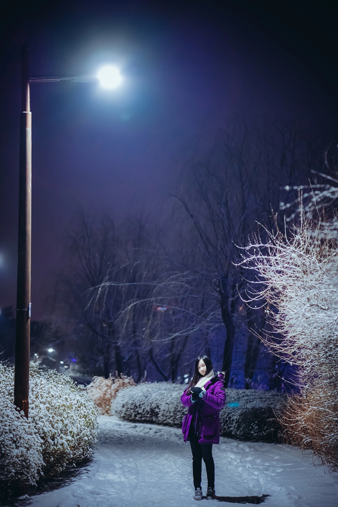 Bambi(밤비) - NO.18 Lacerta Photography 2