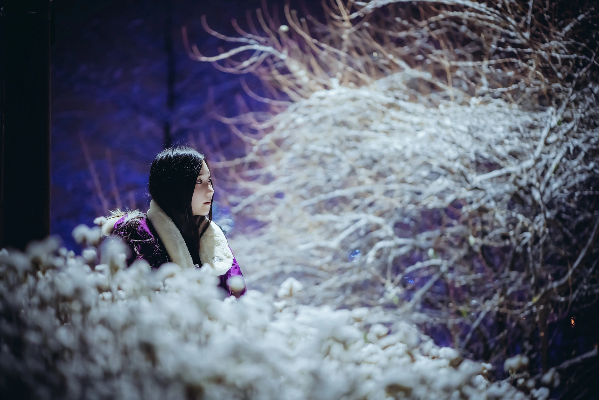 Bambi(밤비) - NO.18 Lacerta Photography 3